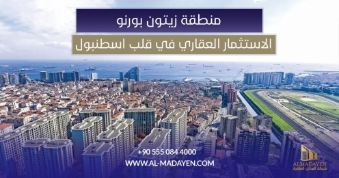 زيتون بورنو